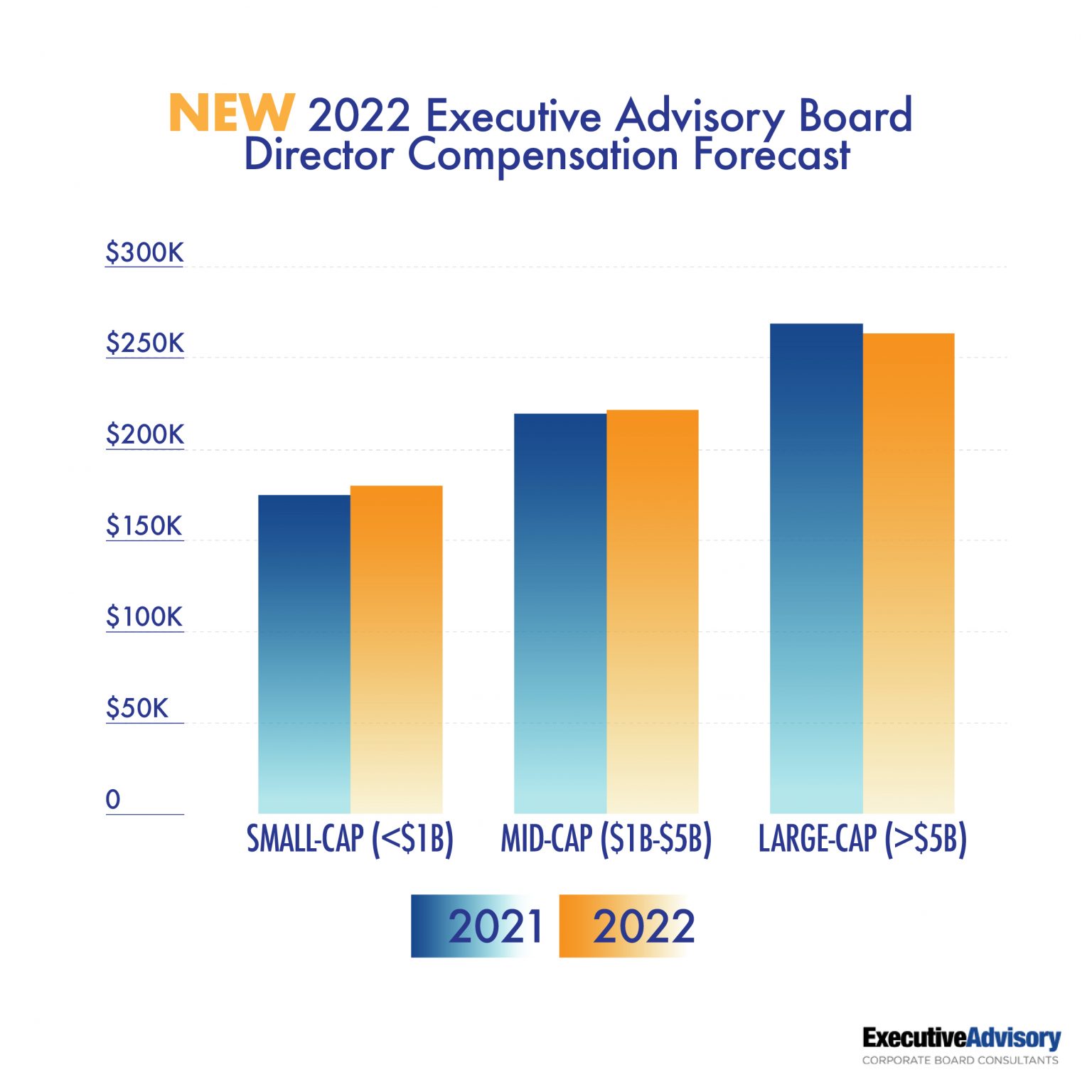 Board Director Compensation Executive Advisory
