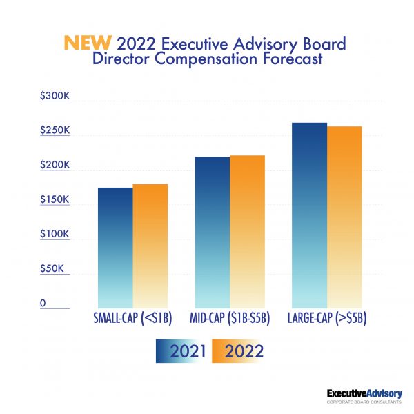 Board Director Compensation Executive Advisory